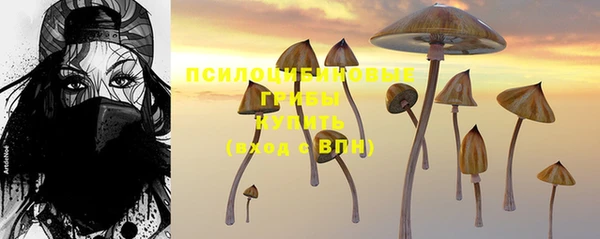 мдма Вяземский