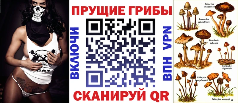 hydra ССЫЛКА  Можга  Псилоцибиновые грибы ЛСД 