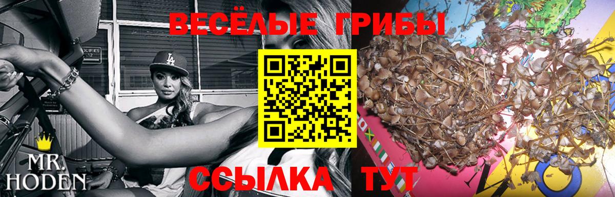 Псилоцибиновые грибы мухоморы  Псилоцибиновые грибы прущие грибы  Можга 