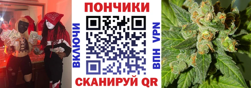 дарк нет официальный сайт hydra ССЫЛКА Шишки марихуана OG Kush Можга наркошоп